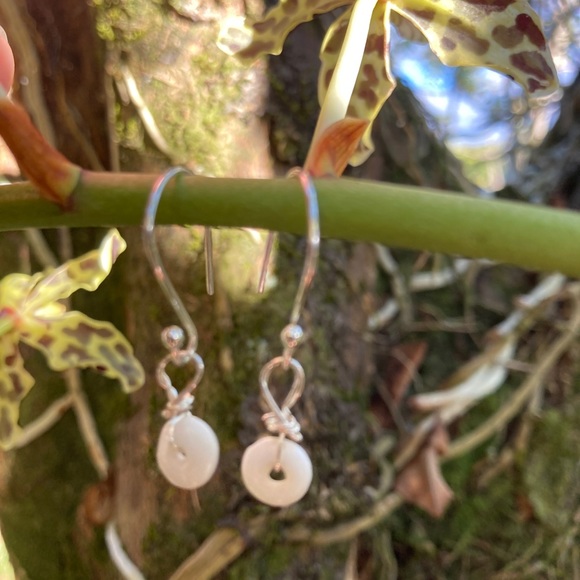 Authentic Hawaiian Puka shell earrings - Picture 4 of 6